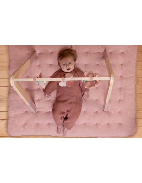 Palestrina Baby Gym - Flowers & Butterflies