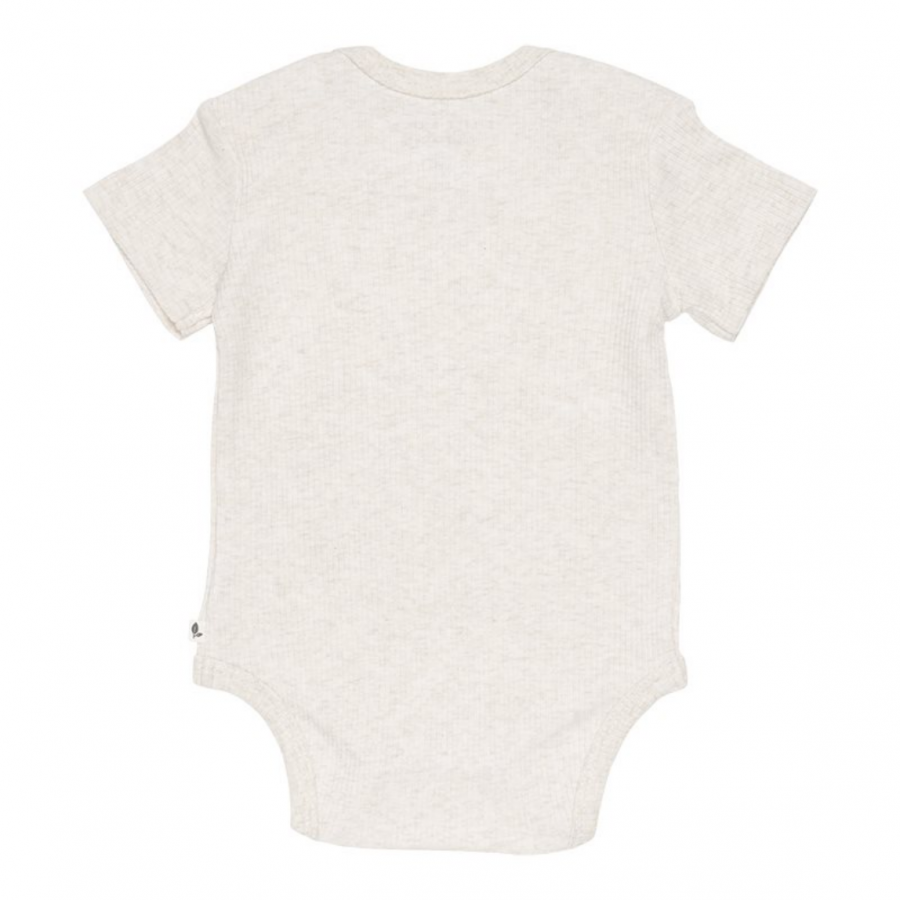 Body manica corta costine Sand 2