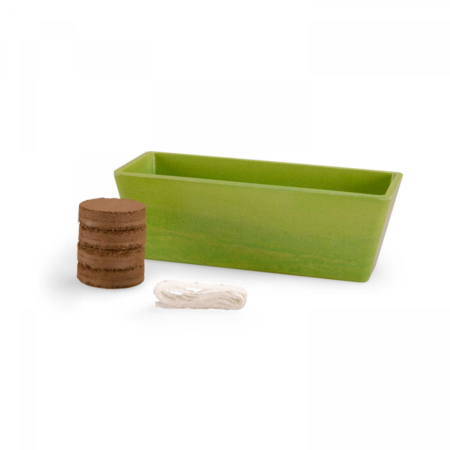 Kit il piccolo giardiniera con basilico biologico da coltivare e vaso 2