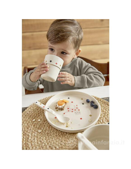 Set pappa in cellulosa (4 pezzi) Gatto Little Mateys Spicy Orange