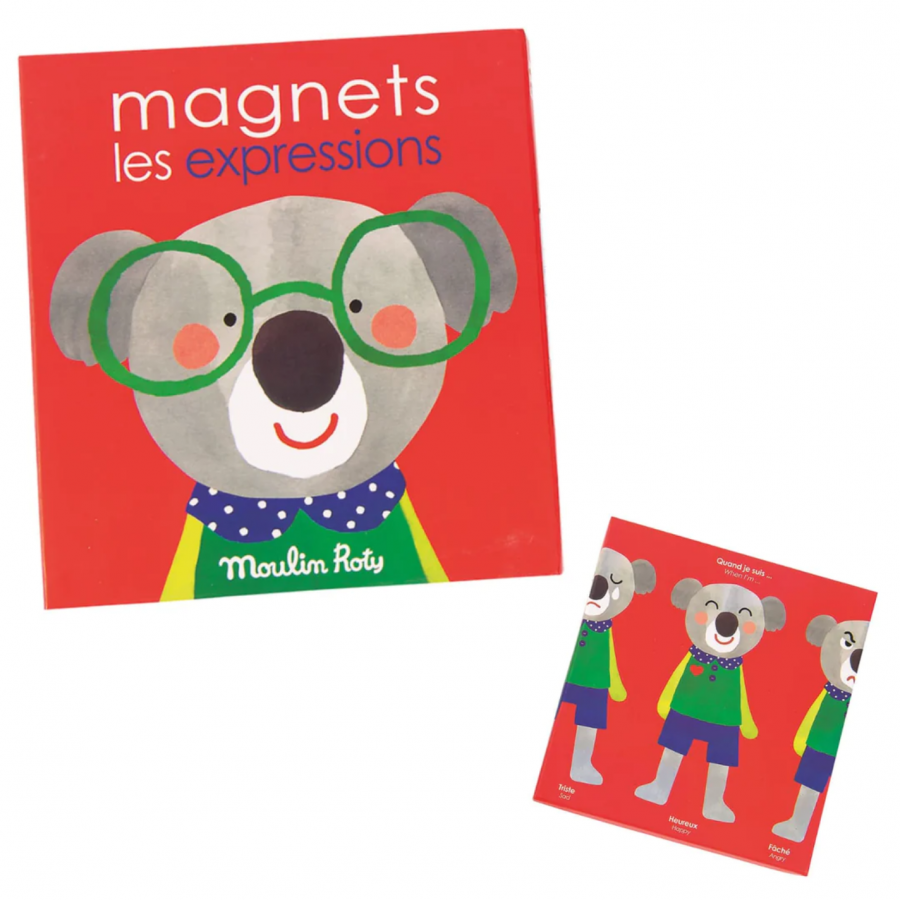 Gioco magnetico - Le espressioni