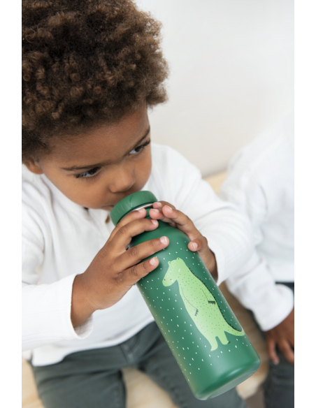 Bottiglia 500ml in acciaio - Mr. Crocodile