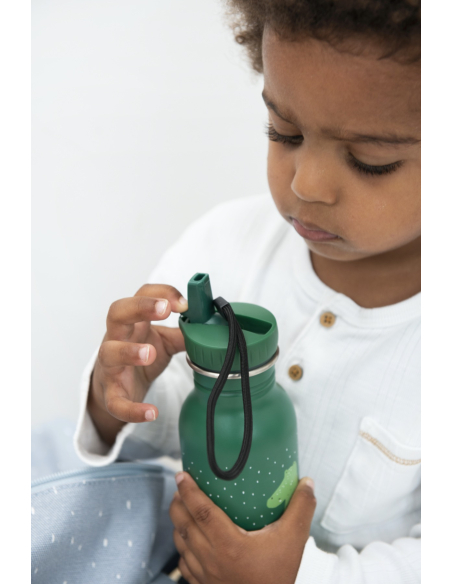 Bottiglia 500ml in acciaio - Mr. Crocodile