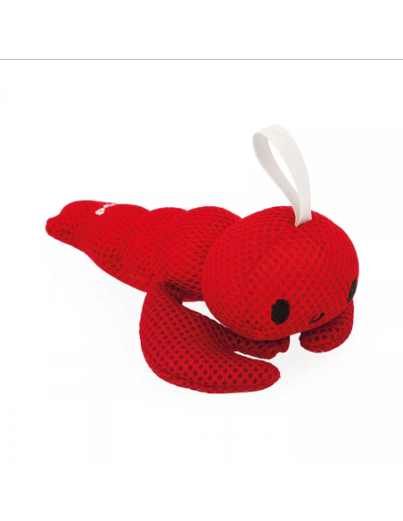 Set 3 Compagni Di Bagno