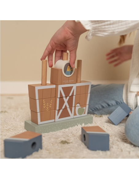 Pollaio Da Costruire Impilabile - Little Farm