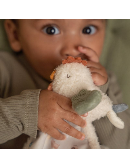 Dou Dou Gallo - Little Farm