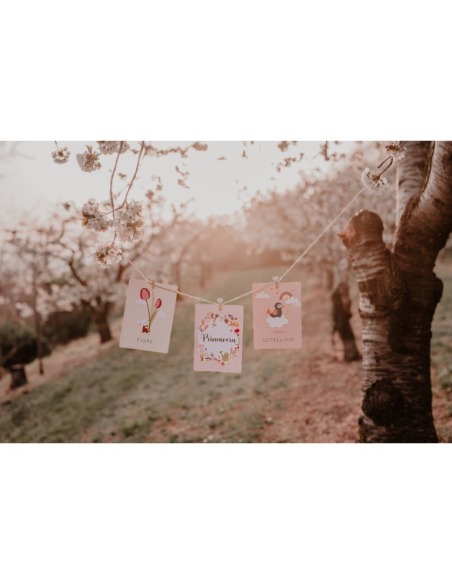 Le mie prime carte. La natura