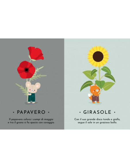 Le mie prime carte. La natura