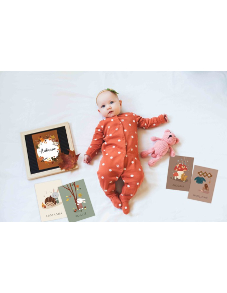 Le mie prime carte. Le stagioni