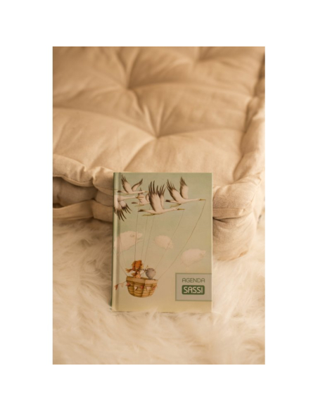 Agenda SASSI - Quando piove dentro