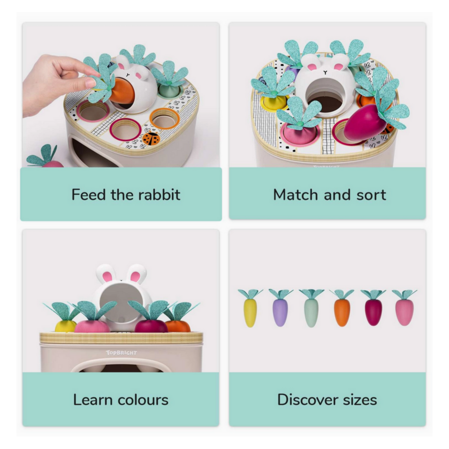 Match + Sort Carrots - Montessori impara colori e forme 2