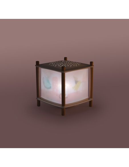 Lanterna magica musicale - La petite école de danse