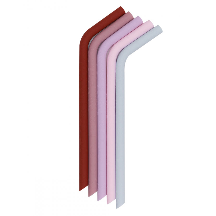 Set da 5 Cannucce lavabili  in silicone colore Rosa/Viola + scovolino per pulirle