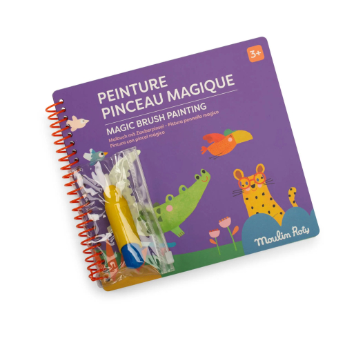 Pittura  Libro "pennello magico"  - Les Toupitis