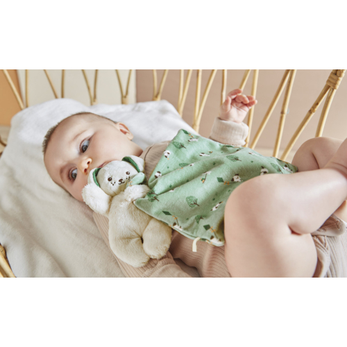 Dou Dou Cagnolino morbido con copertina Verde