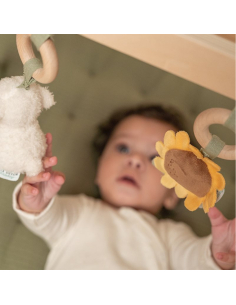 Palestrina Baby gym Little Farm 2