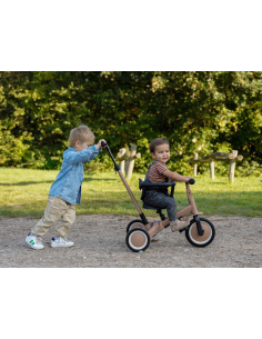 Kaya Triciclo LIO Multifunzione da 1 a 5 anni con Barra da spinta - MACCHIATO - da balance bike a bicicletta 2