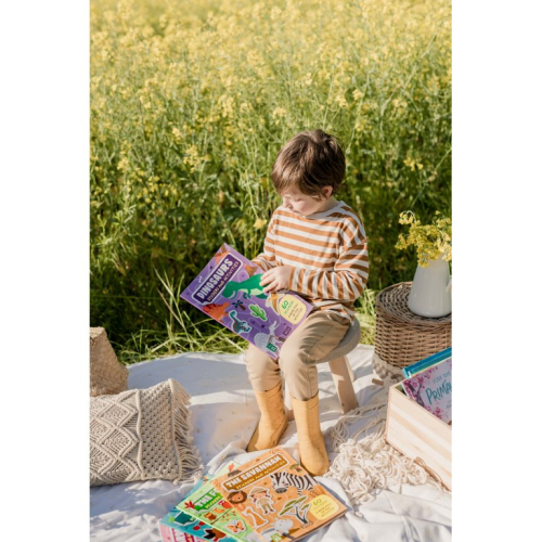 Stickers e attività - I dinosauri