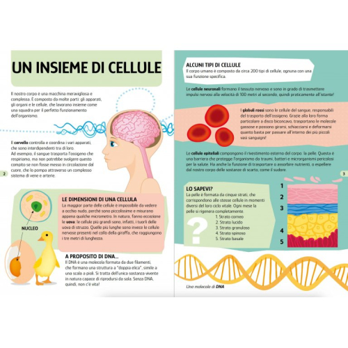 Puzzles + libro - Viaggia, conosci, esplora - Il corpo umano Puzzles + libro - Viaggia, conosci, esplora - Il corpo umano