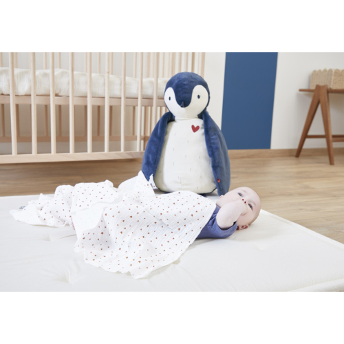 Il Mio Peluche 50cm + Telo Multiuso