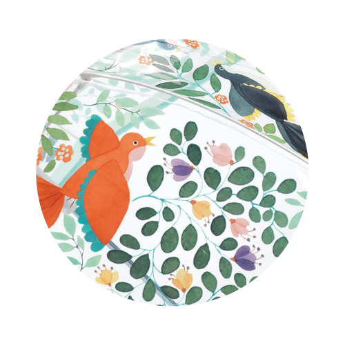 Ombrello trasparente - Fiori e uccelli