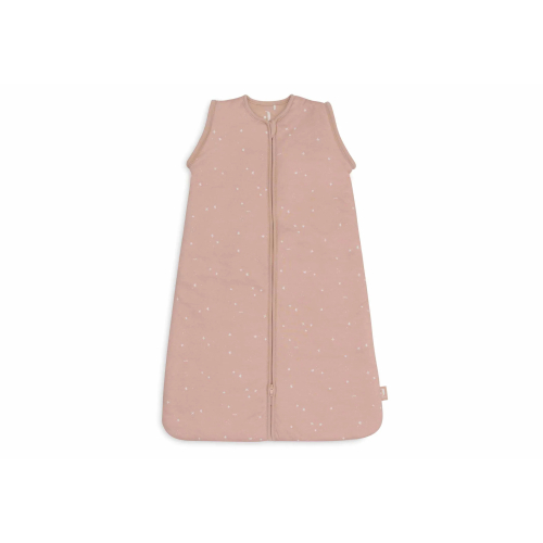 Sacco Nanna Invernale (tog 3.5 - 2.5) con Maniche Removibili 70 cm - Twinkling - Wild Rose