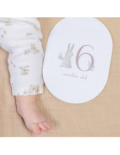 Baby Milestone Carte Baby Bunny 2