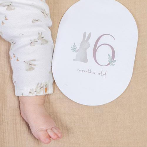 Baby Milestone Carte Baby Bunny