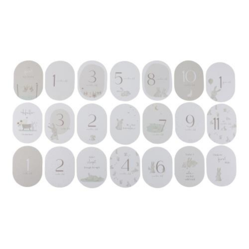 Baby Milestone Carte Baby Bunny