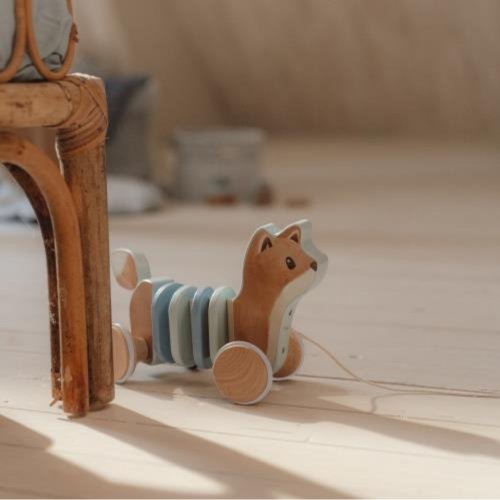 Volpe trainabile - Forest Friends