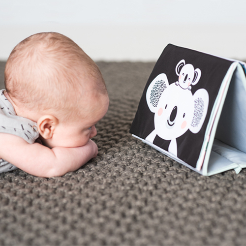 Tummy Time Book alto contrasto - Koala