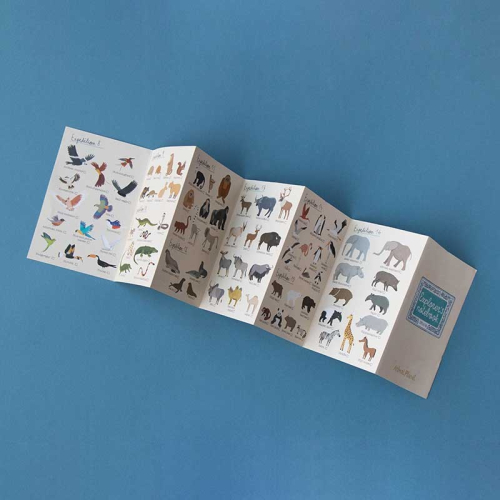 Puzzle Animal Planet E GIOCO DI OSSERVAZIONE