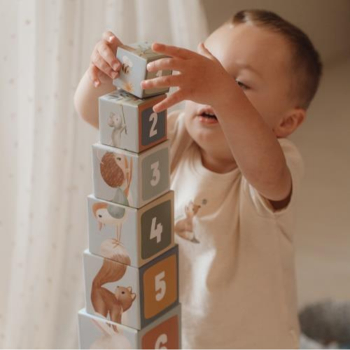 Blocchi da costruzione – Forest Friends