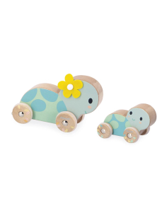 Set di 2 tartarughe a ruote - Pure