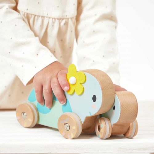 Set di 2 tartarughe a ruote - Pure