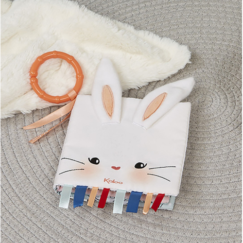 Libro Multiattività - Il Coniglietto Innamorato