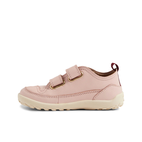 Dawn Bearfoot - Cameo Rose