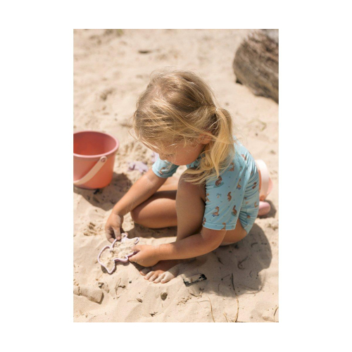 Set Spiaggia Old Rose + Camioncino