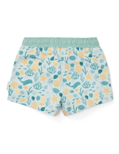 Costume pantaloncino - Seasashells and Stripes 2