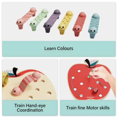 Apple Worms - La mela e i suoi vermetti - Giocattolo Montessori Apple Worms - La mela e i suoi vermetti - Giocattolo Montessori