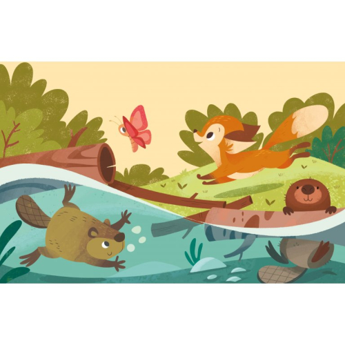 libera i colori del bosco