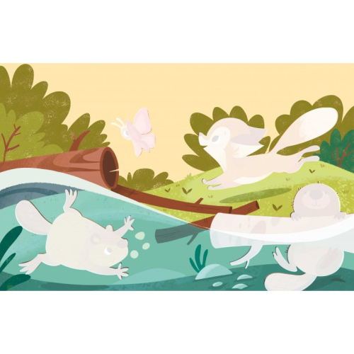 libera i colori del bosco