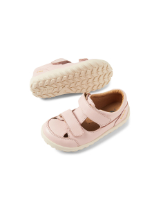 I walk - Troop Bearfoot - Cameo Rose