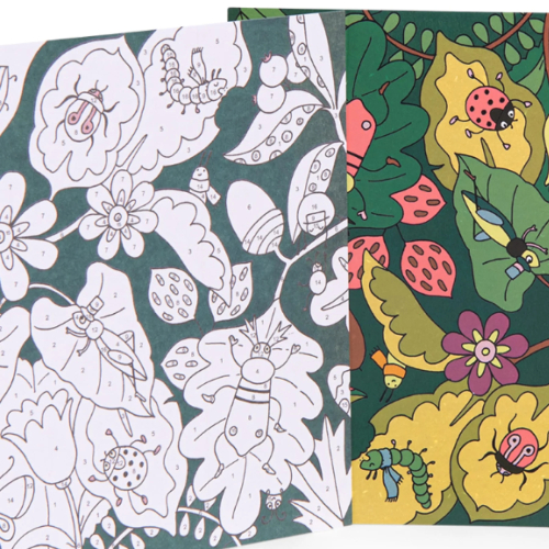 Dipingere con i numeri - IL BOTANISTA