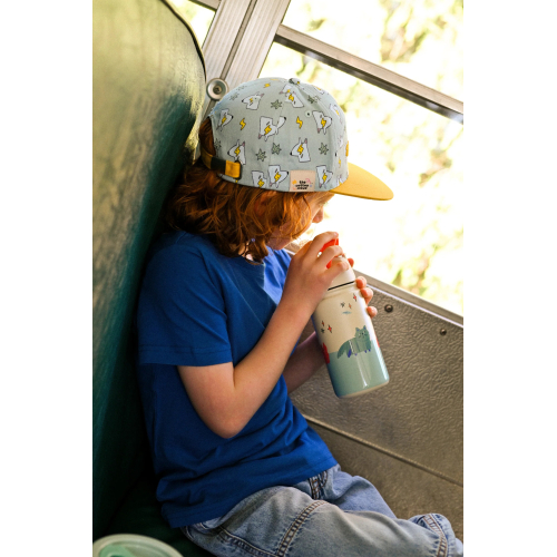 Borraccia IN ACCIAIO INOX con cannuccia a scomparsa 420 ml - Meowful Cats