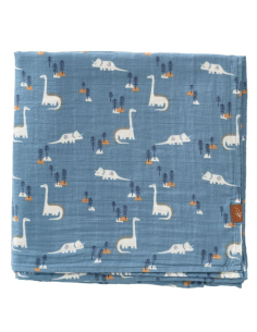 Swaddle 120x120 cm - Dino 2