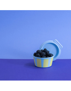 Ciotola con coperchio BOX 250 ml - NORA Stripes 2