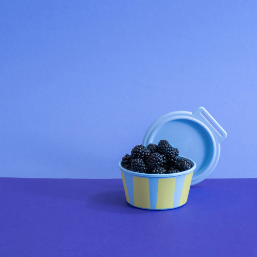 Ciotola con coperchio BOX 250 ml - NORA Stripes