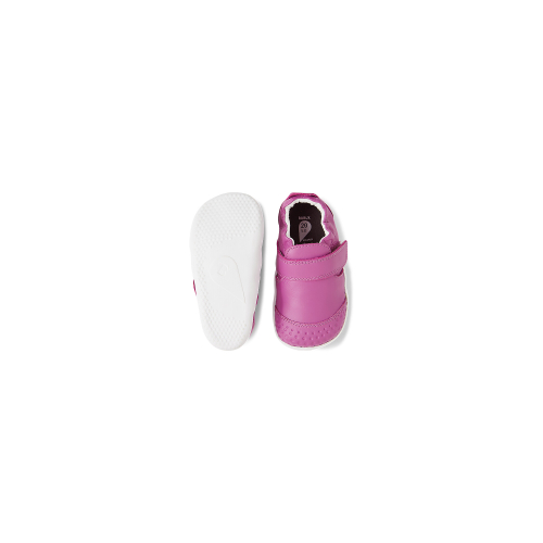 Xplorer Go ORCHID Xplorer Go ORCHID