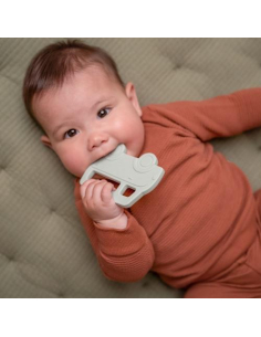 Mastichino in Silicone per denti - Van 2